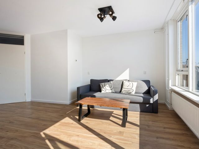 Charta 77-Vaart 154, Haarlem