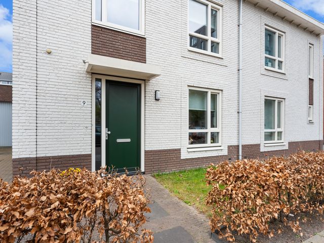 Directeur De Gelderstraat 9, Rotterdam