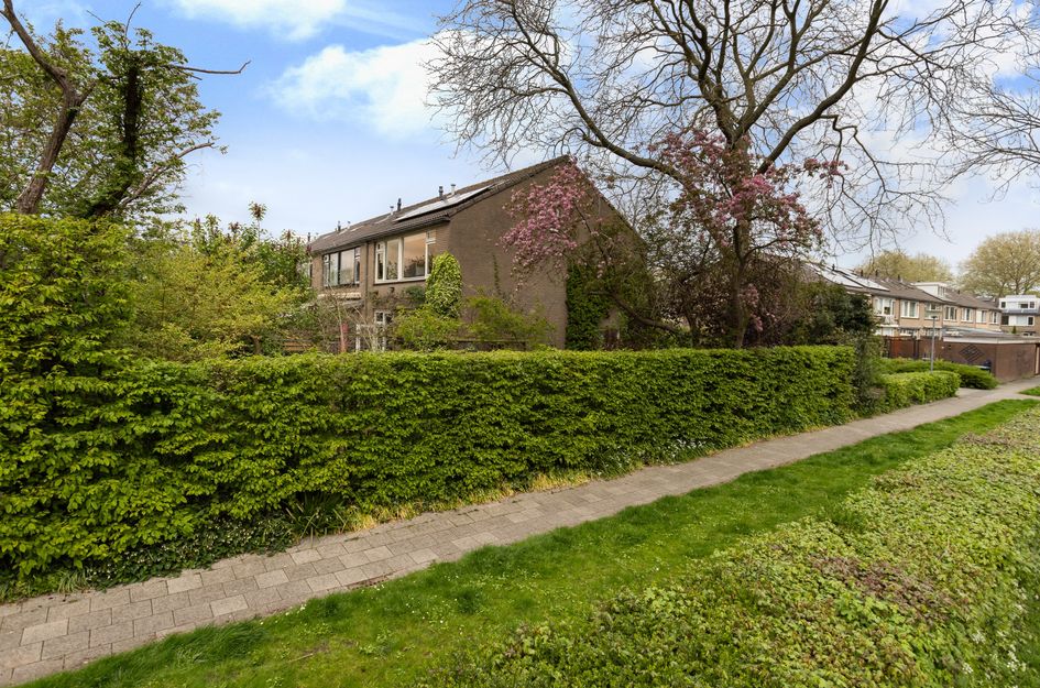 Regenboogstraat 177