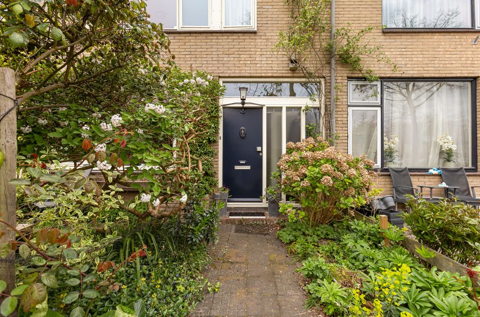 Regenboogstraat 177