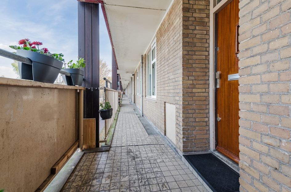 Tussen Meer 234