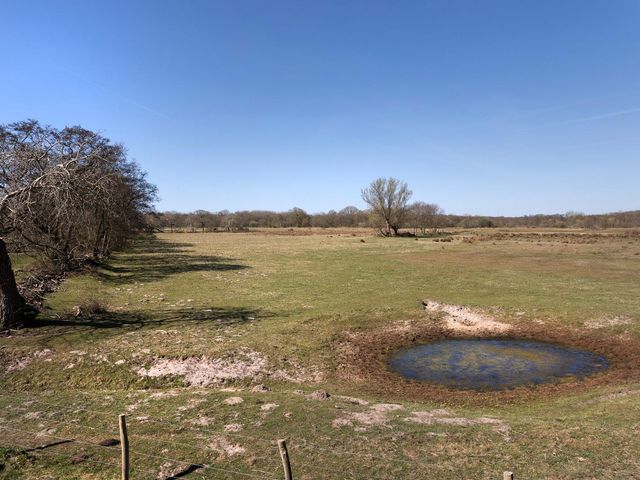 Hogezoom 67a, Burgh-Haamstede