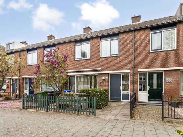 Bolkruid 98, Rotterdam
