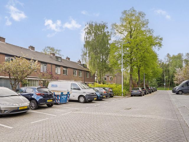 Bolkruid 98, Rotterdam