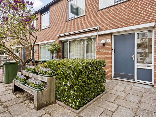 Bolkruid 98, Rotterdam