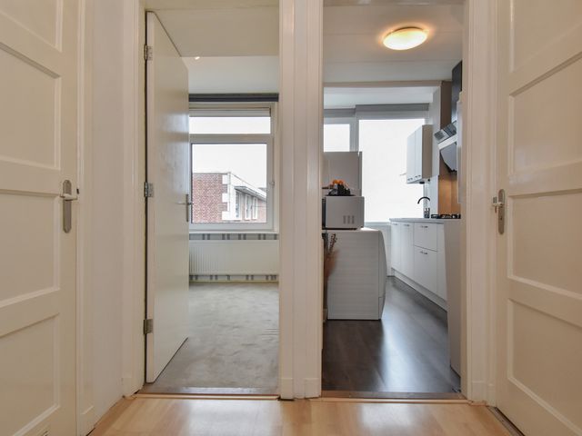 Pluvierstraat 393, Den Haag