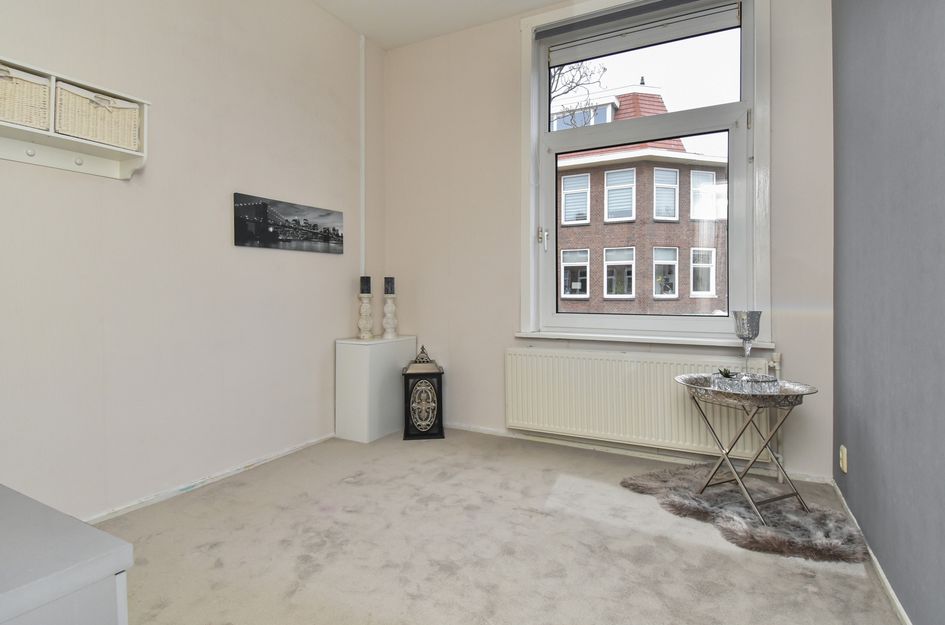 Pluvierstraat 393