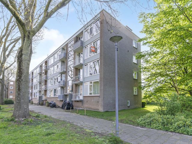Wilbertoord 245, Rotterdam