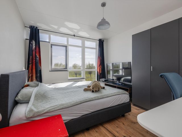 Basalt 99, Zoetermeer