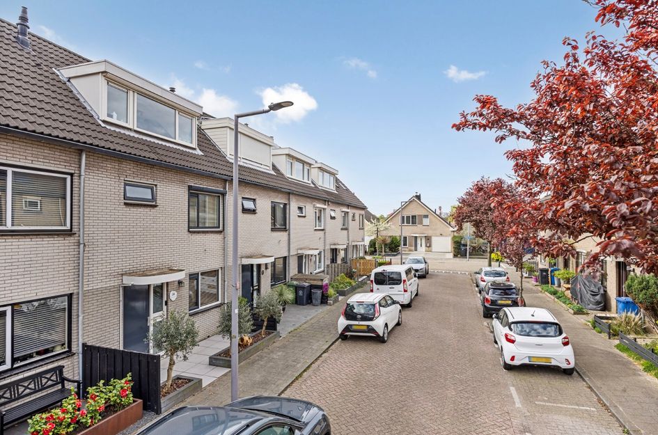 Meropestraat 24