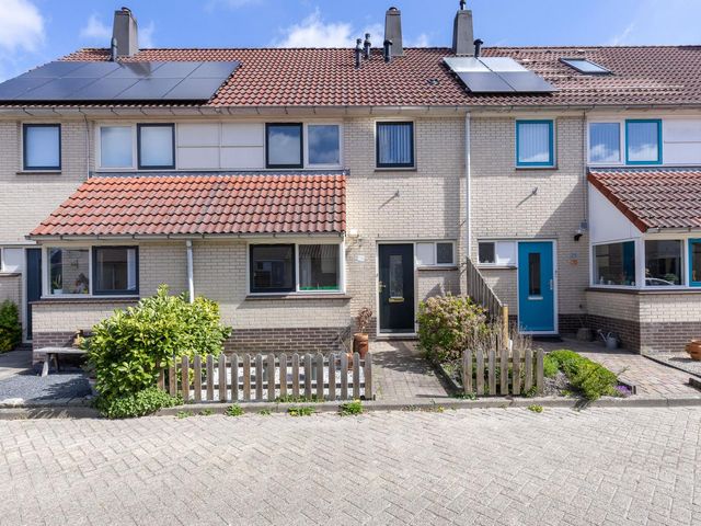 Saffier 27, Hoorn