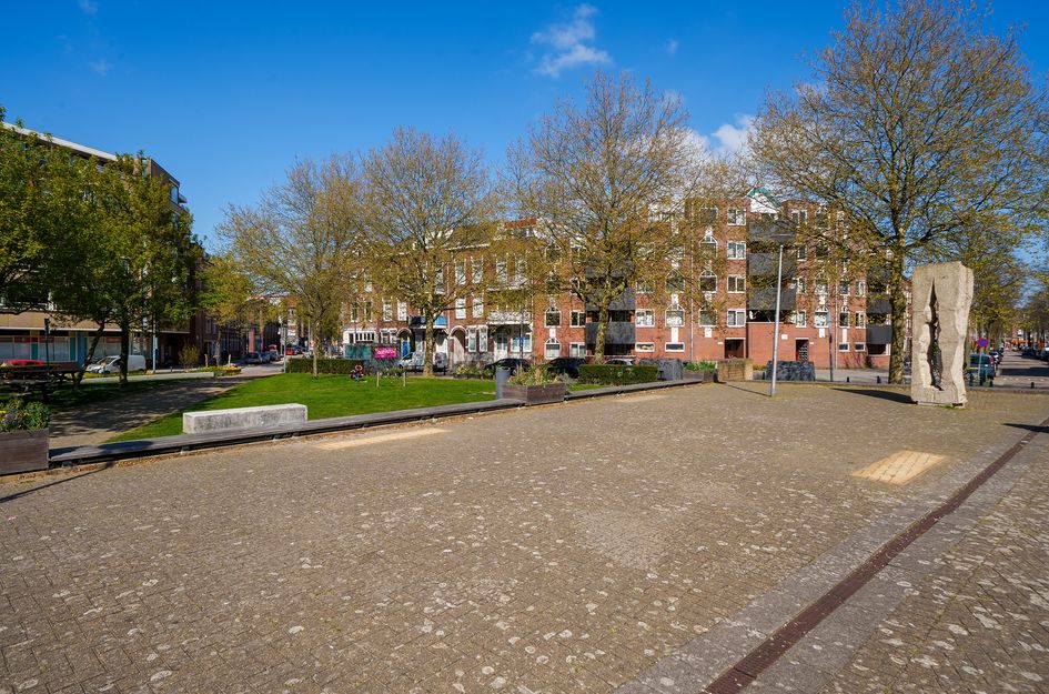 Rosier Faassenstraat 87