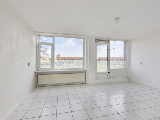Lisdoddelaan 10 1, Arnhem