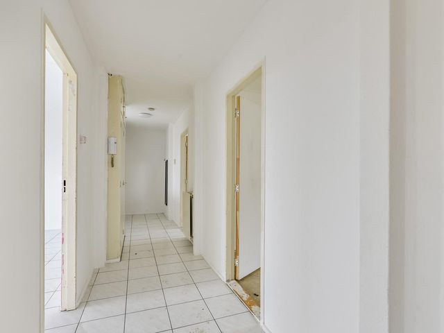 Lisdoddelaan 10 1, Arnhem