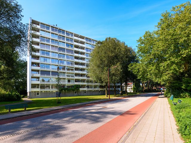 Buizerd 42, Heerenveen
