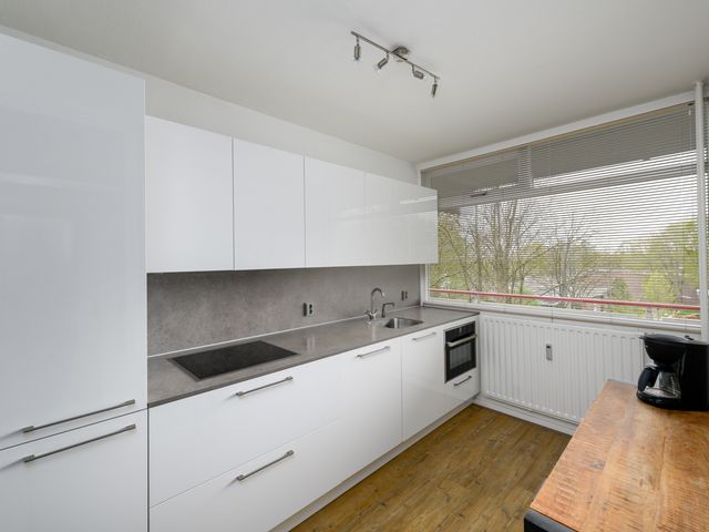 Buizerd 42, Heerenveen