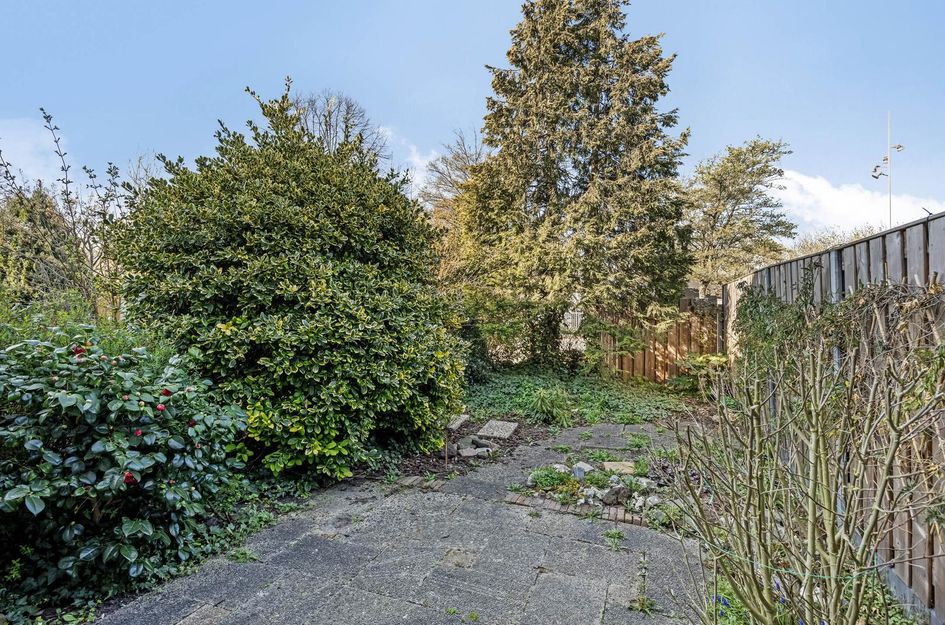 Pisuissehof 11