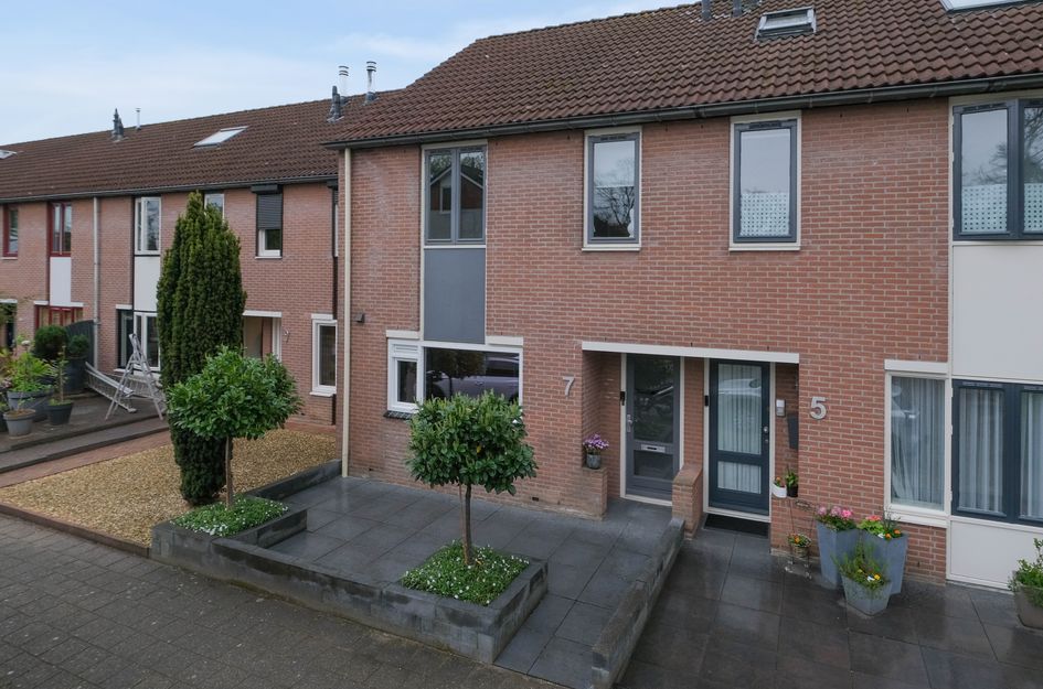 De Griffioen 7