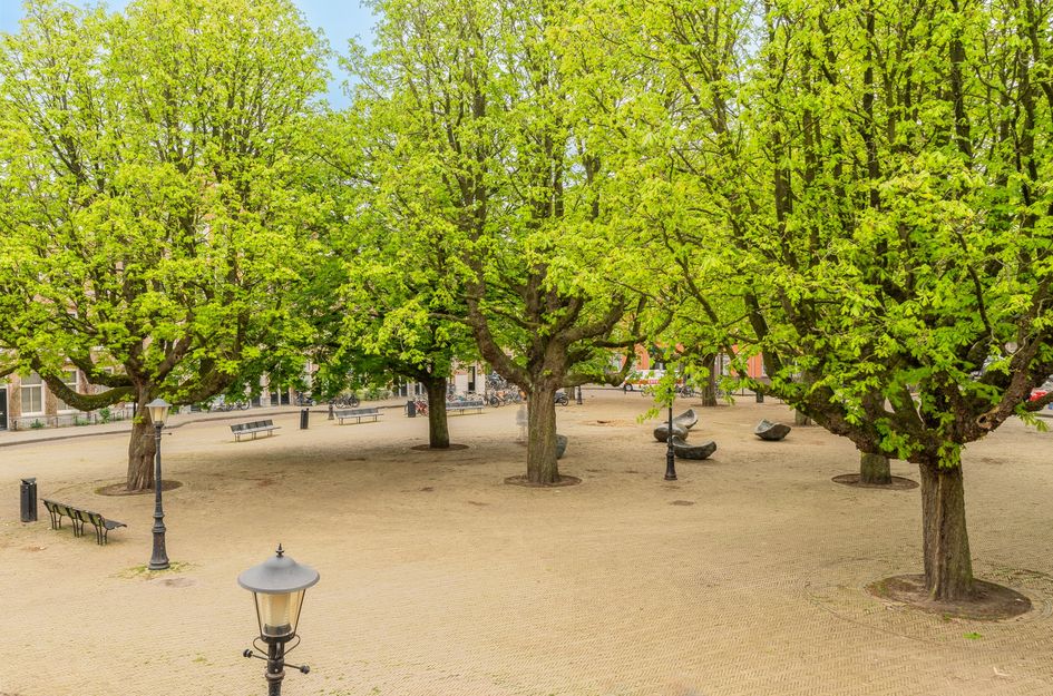 Kastanjeplein 4 1