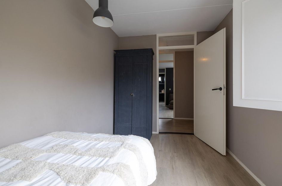 Goudwespmeent 93