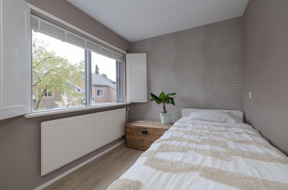 Goudwespmeent 93
