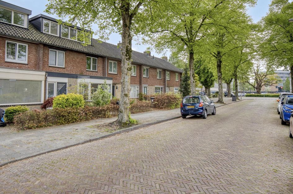 Schultinghstraat 51