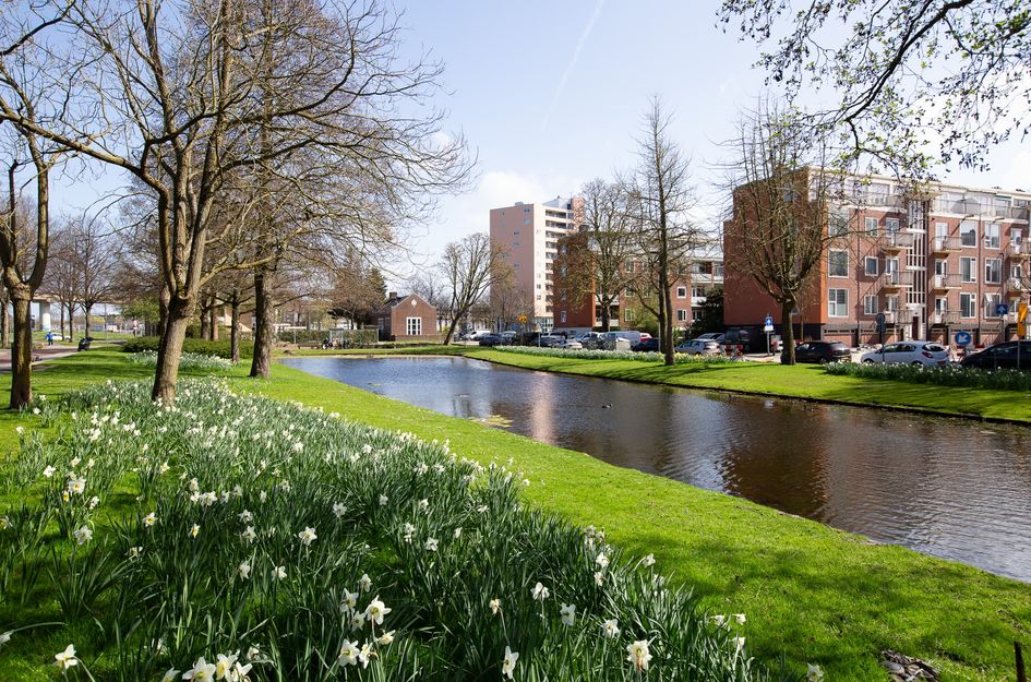 Fluitstraat 19C
