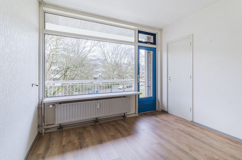 Van Der Haertstraat 66