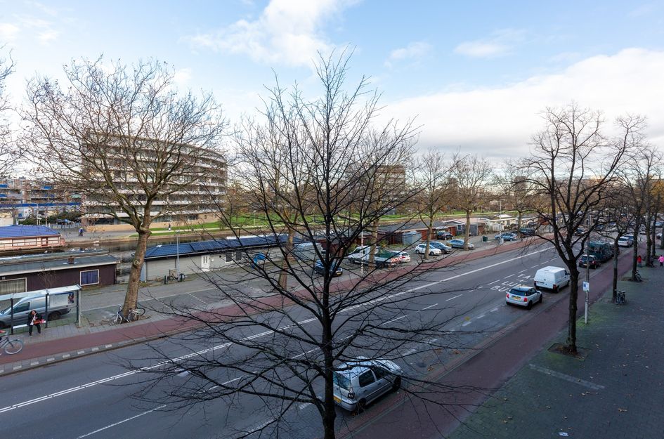 Troelstrakade 29