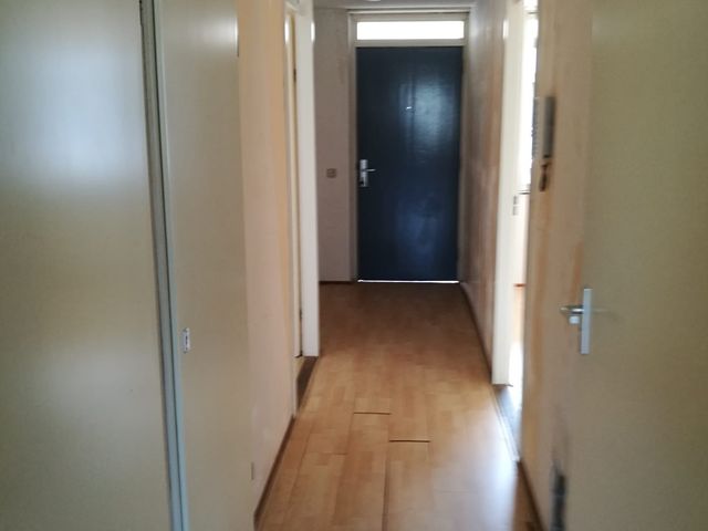 Troelstrakade 29, Den Haag