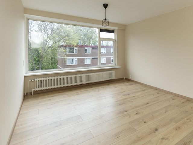 Ruigoord 31, Rotterdam