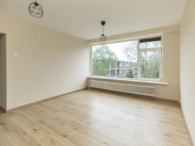 Ruigoord 31, Rotterdam
