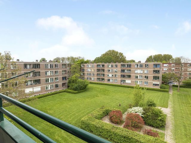 Ruigoord 31, Rotterdam