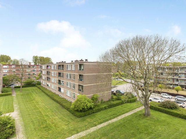 Ruigoord 31, Rotterdam