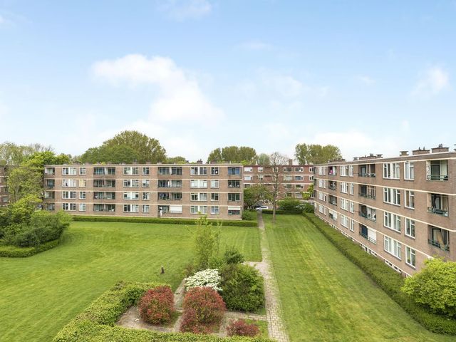 Ruigoord 31, Rotterdam