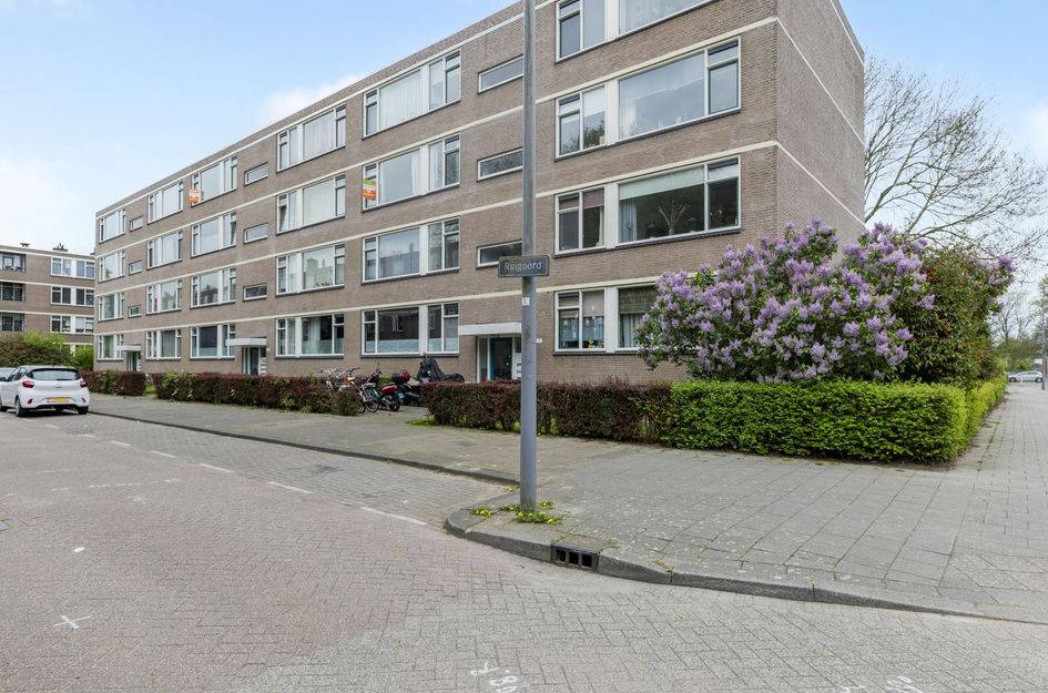 Ruigoord 31