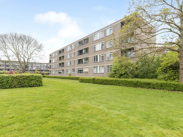 Ruigoord 31, Rotterdam
