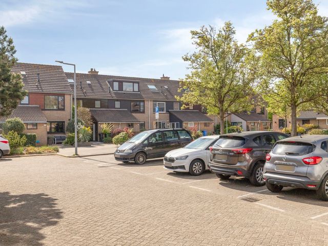 Zeeanemoon 33, Hoek van Holland
