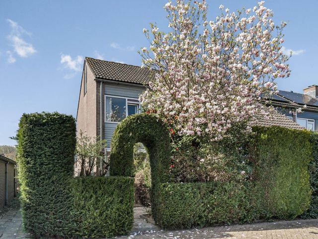 Liniestraat 85, Hulst