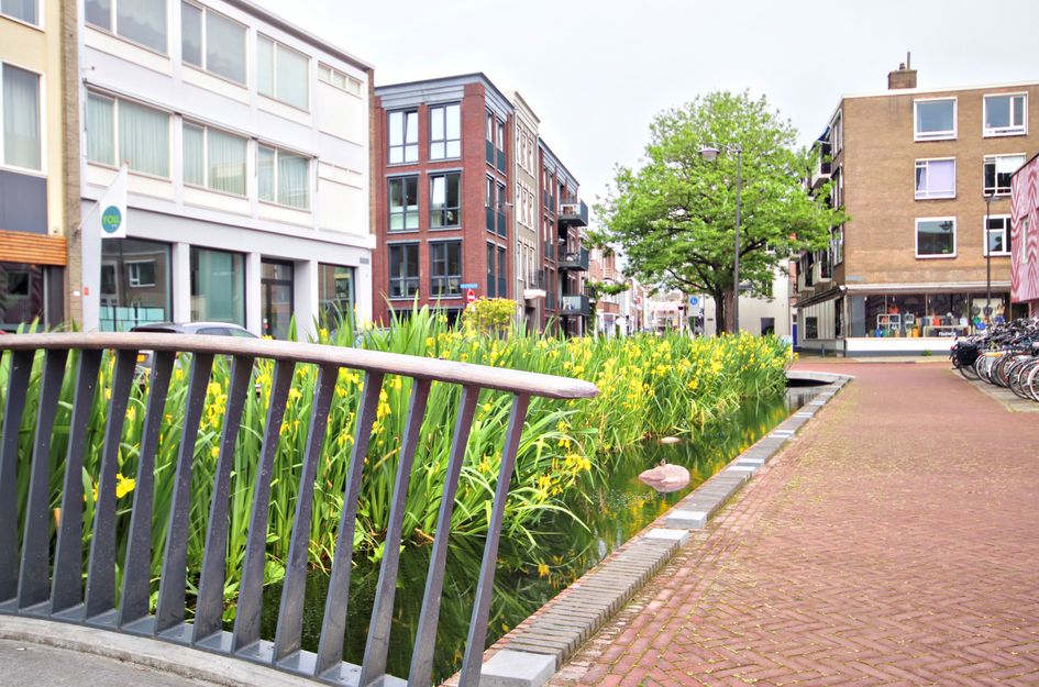 Beekstraat 77 10