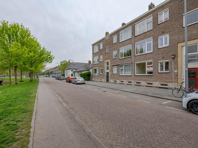 Lepelaarsingel 41A, Rotterdam