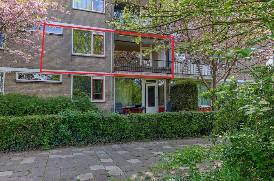 Zakdragerstraat 19