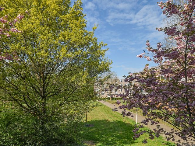 Zakdragerstraat 19, Gorinchem