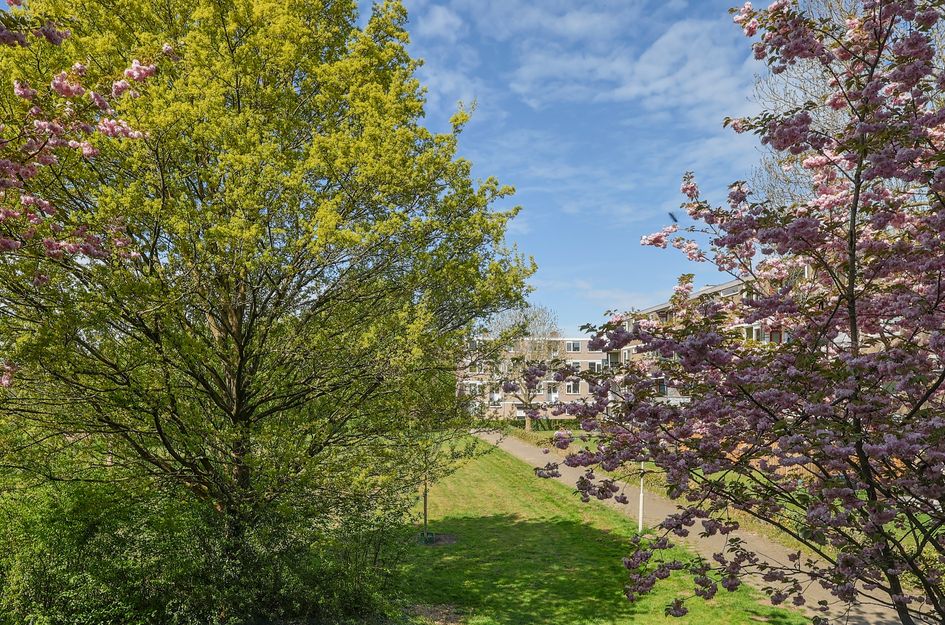 Zakdragerstraat 19