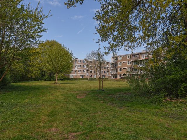 Zakdragerstraat 19, Gorinchem