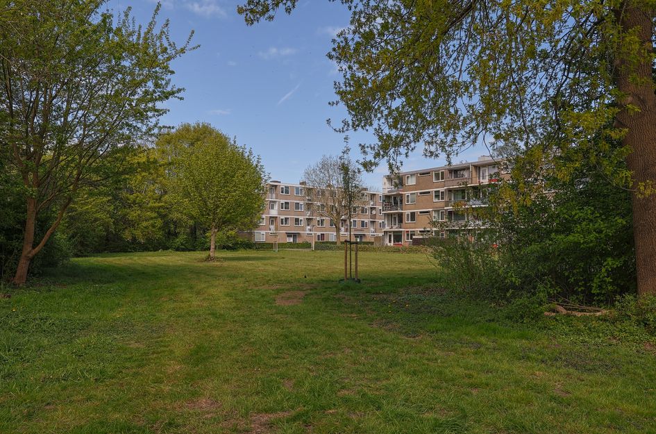 Zakdragerstraat 19