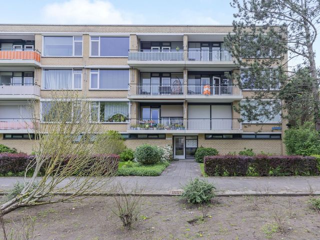 Nieuwenoord 164, Rotterdam