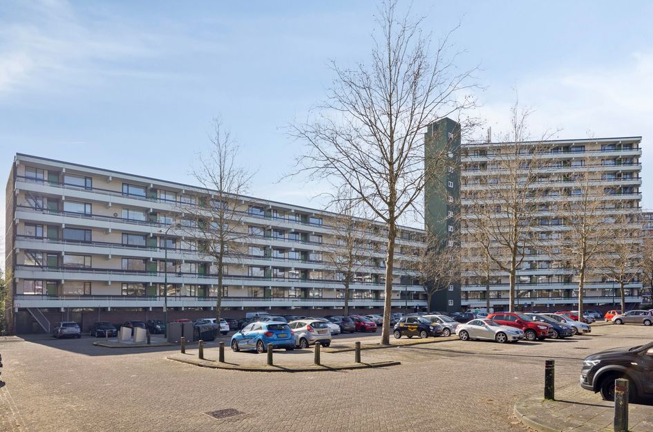 Zuiderkruis 100