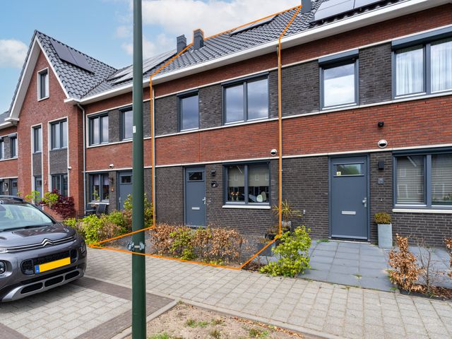 Gulderling 5, Andel