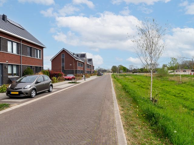 Gulderling 5, Andel